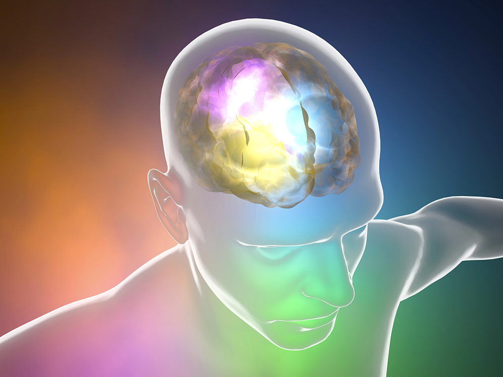 Rappresentazione a colori del cervello umano