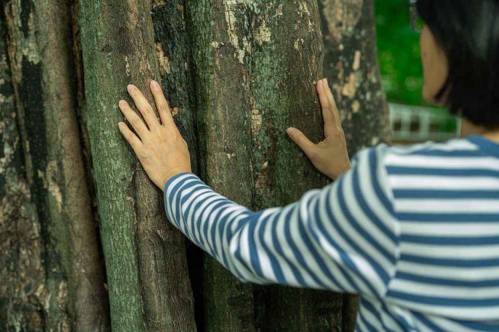 riconnessione con la natura 